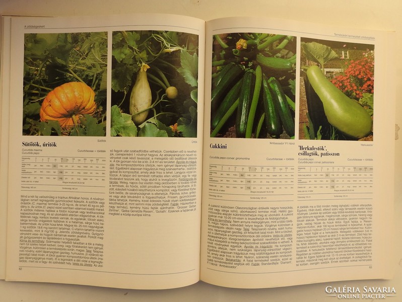 Alphabet of useful plants vegetable, spice and fruit garden in more than 250 colorful plant portraits