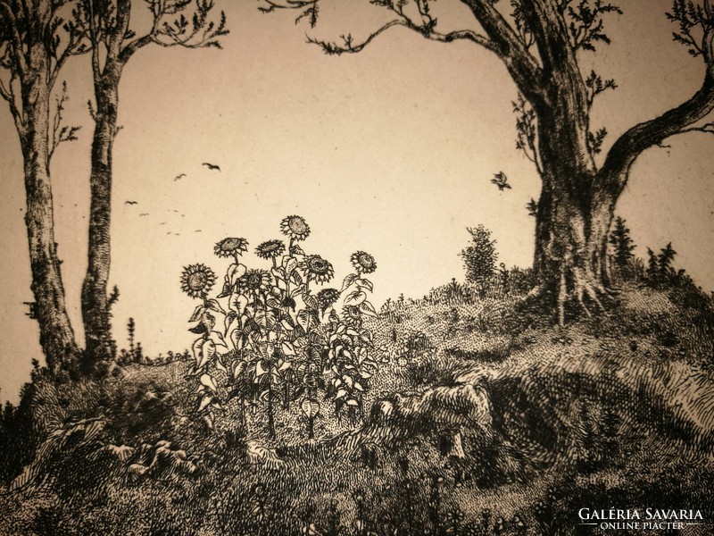 Gross Arnold is a rare, early, black and white etching: a garden of birds