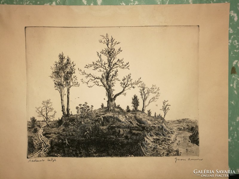Gross Arnold is a rare, early, black and white etching: a garden of birds