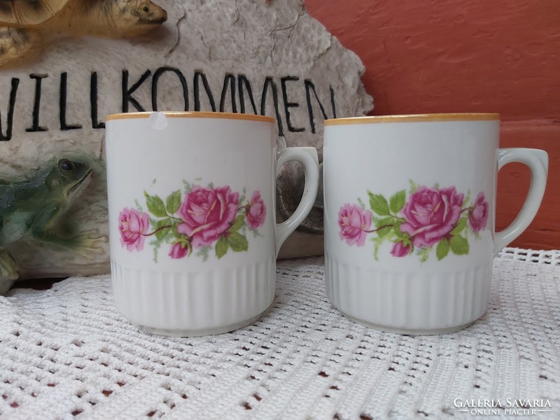 Zsolnay rosy rose pattern mug porcelain nostalgia skirt peasant village decoration
