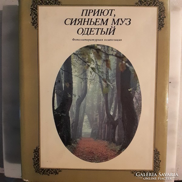 Fotó-irodalmi kompozíciók a Puskin múzeumról orosz nyelvű