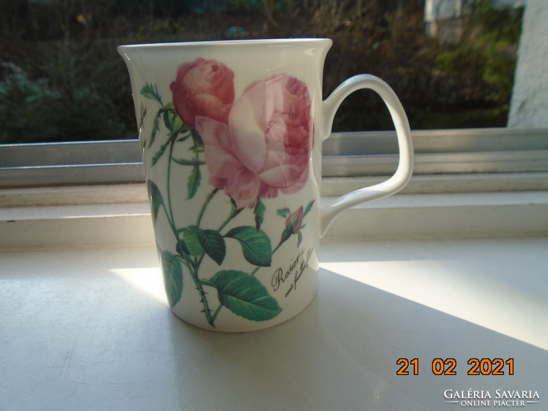 Premium quality rose mug made of fine porcelain from Roy Kirkham's redouté roses series
