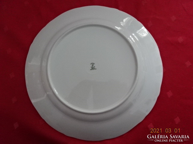 Schmidt Brazilian porcelain flat plate, diameter 24 cm. He has!