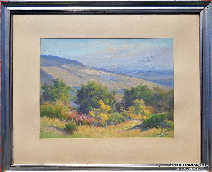 Hungarian painter 1937 / landscape discounted
