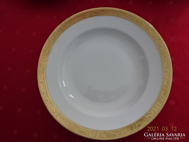 Gloria Czech porcelain, antique deep plate, richly gilded. He has!