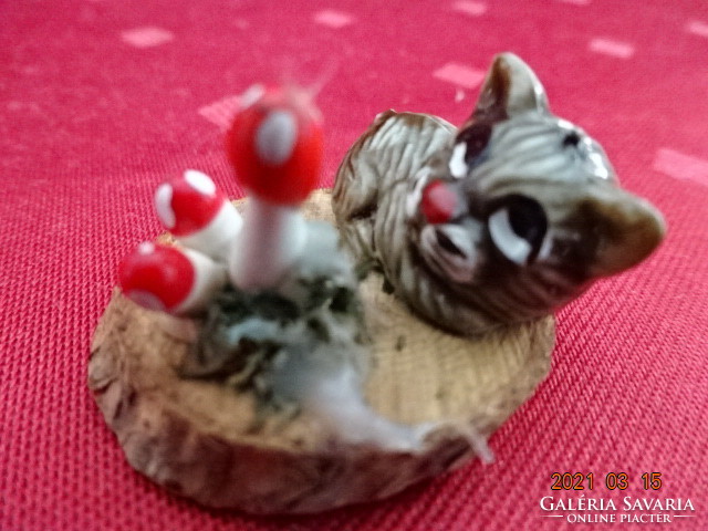 Tabby kitten lying at the base of the mushroom. Size 3.5 x 3 cm. He has!