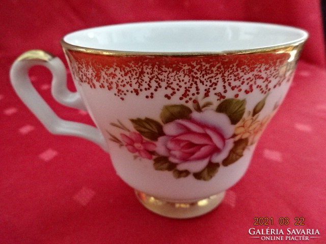Royal bavaria german porcelain, rose patterned coffee cup. He has!