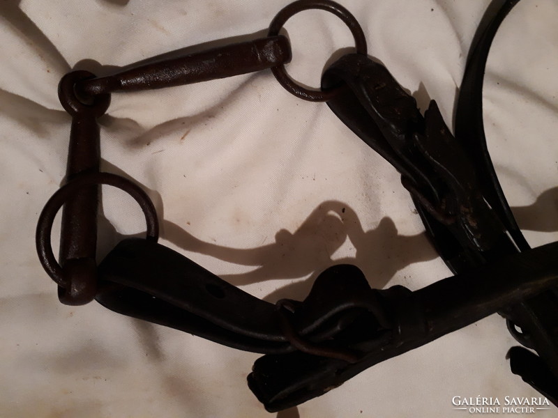Old horse and riding tools