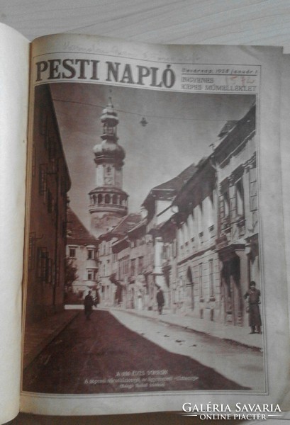 Pest diary 1928