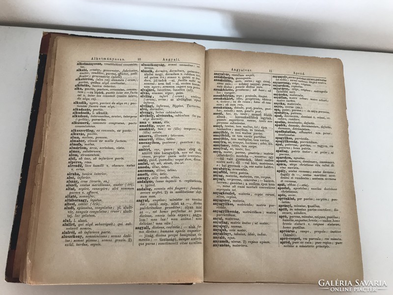 Magyar-latin kézi-szótár - 1881