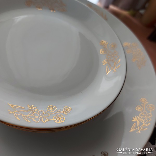 Mz-Moritz zdekauer Czech/Czechoslovak/50+ year old porcelain cake set with 7 gold patterns