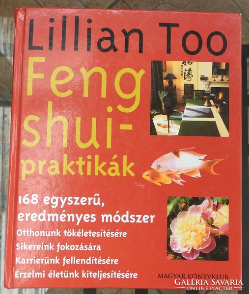 Lillian too _ feng shui practices 168 simple and effective methods