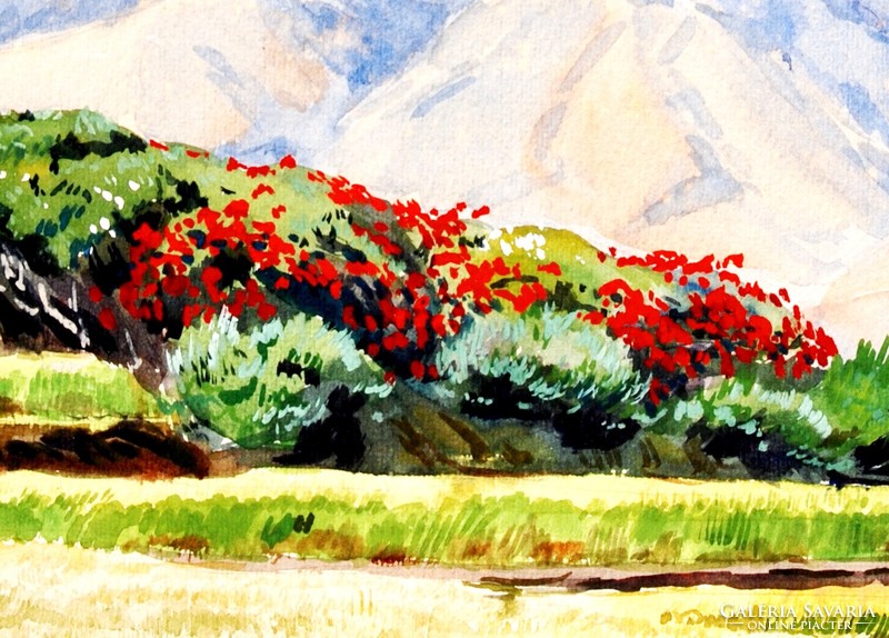 Jáva szigete - hegyvidéki táj virágzó bokrokkal