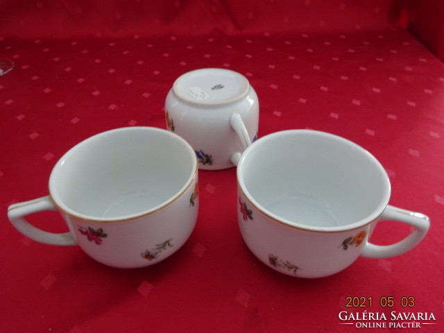 Hc bavaria german porcelain, antique teacup. He has!