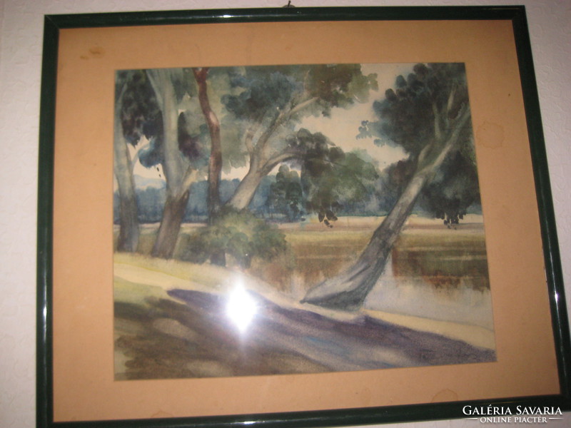 BLASKÓ János  : Erdő  című  zsűrizett  festménye  , akvarell , 60 x 48 cm  +  keret