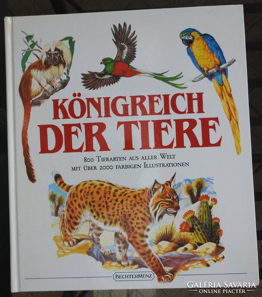 Königreich der tiere - large German picture book about animals