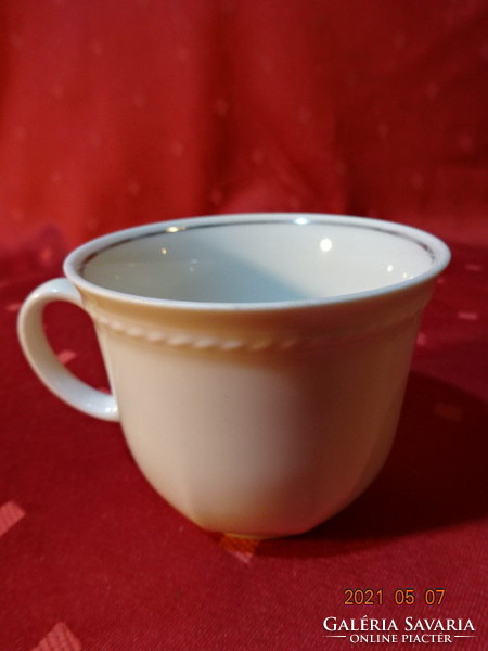Schirnding Bavaria minőségi porcelán teáscsésze, felső átmérője 8,5 cm. Vanneki!