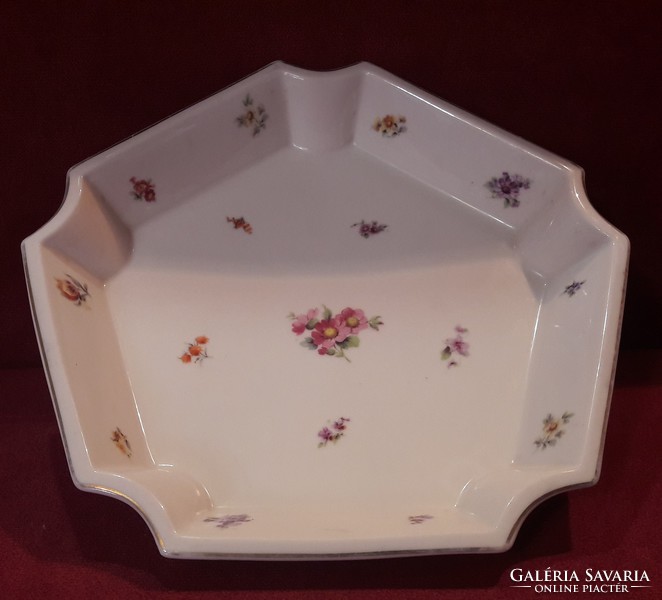 Antique sclaggenwald hc porcelain serving bowl
