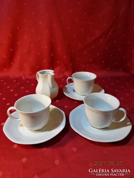 Schirnding bavaria quality porcelain coffee cup + placemat. He has!