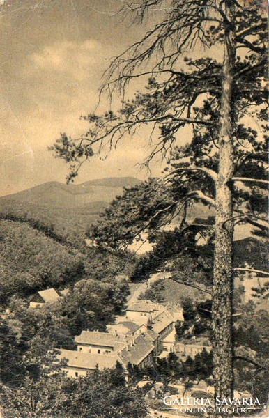 C - 053 used Hungarian postcards King's Meadow - landscape (original 60-filer)