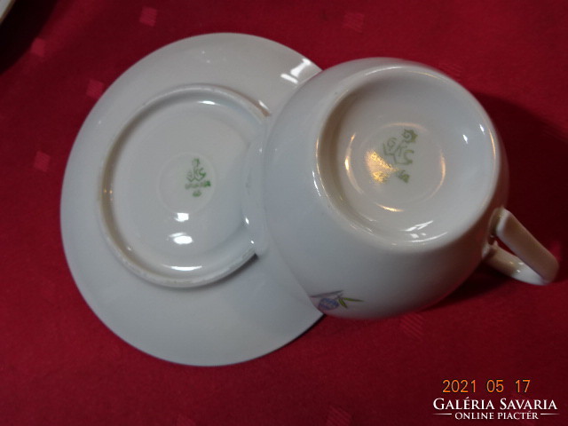 GKC Bavaria német porcelán, antik négy személyes teáskészlet. Vanneki!