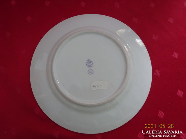Tk thun Czechoslovak porcelain, first class small plate. He has!