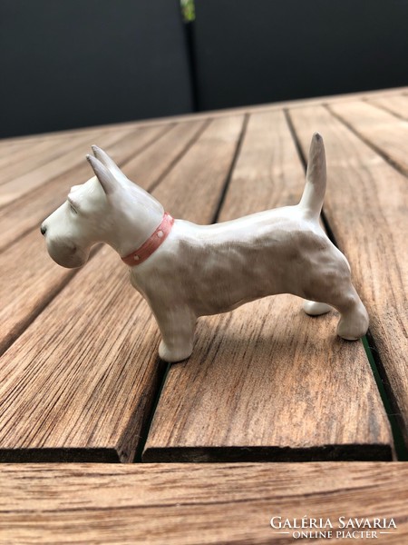 Aquincumi porcelán cuki kis terrier kutya