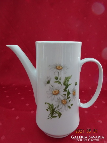 Lowland porcelain teapot, daisy pattern, without lid. He has!