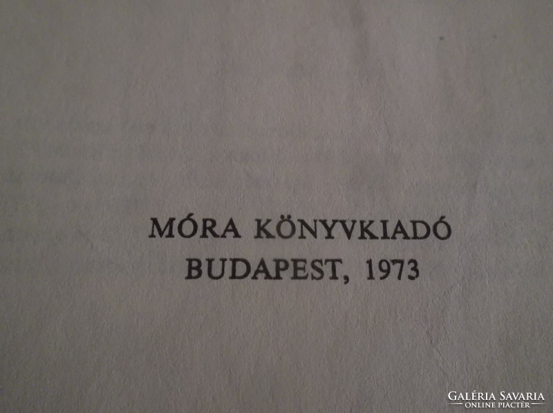Könyv - 1973 ÉVI -  PÖTTYÖS PANNI - ÖSSZEFIRKÁLT - SOKAT OLVASOTT
