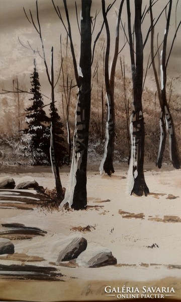 Fk/104 - b. Böskönye pál - snowy landscape