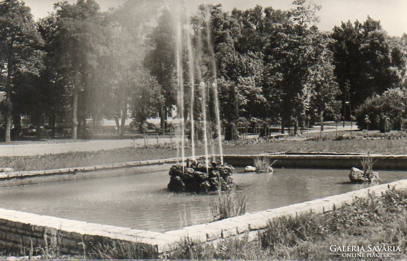 Ba - 127 Körkép a Balaton vidékről a XX.század közepén .Balatonaliga, park részlet