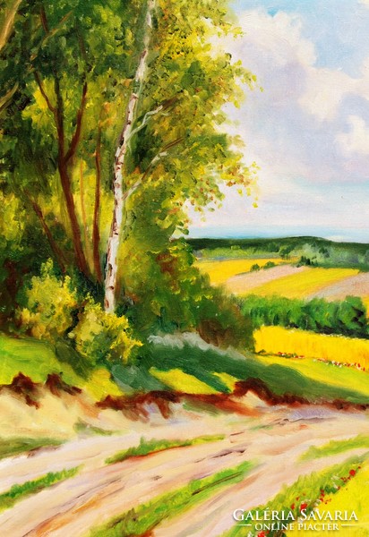 Dombos táj nyári napsütésben - olaj-vászon festmény, keretezve