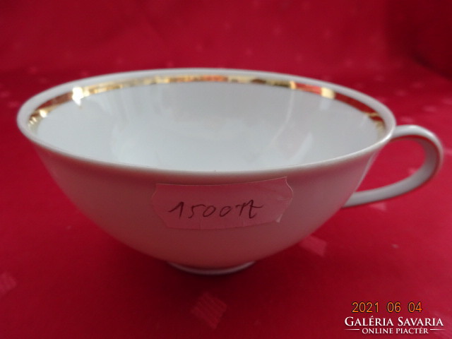 Winterling bavaria german porcelain teacup with gold trim. He has!