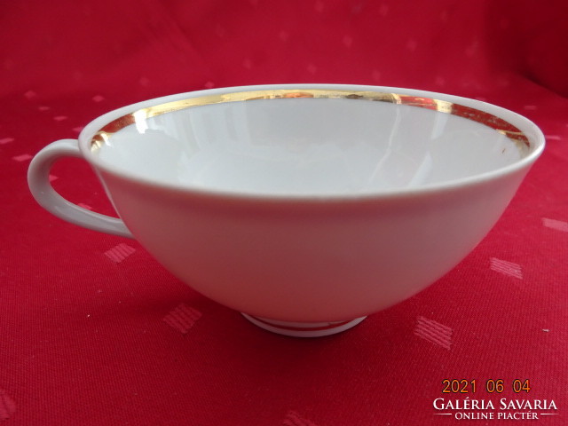 Winterling bavaria german porcelain teacup with gold trim. He has!