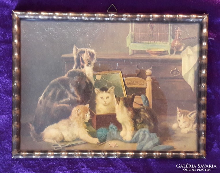 Antique kitten oil print, cat image