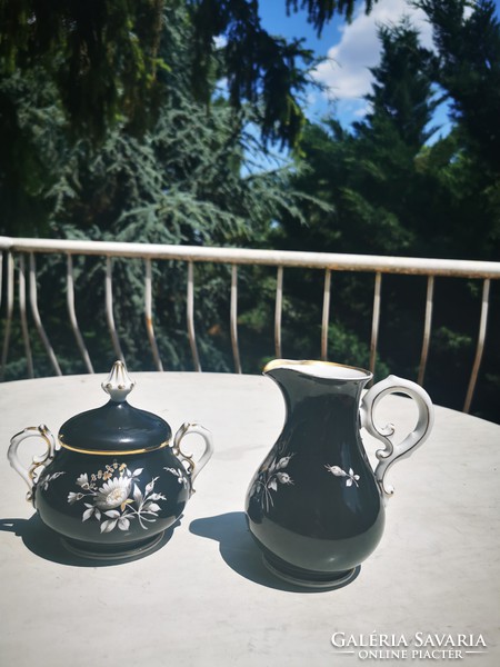 Art Nouveau jug and sugar bowl