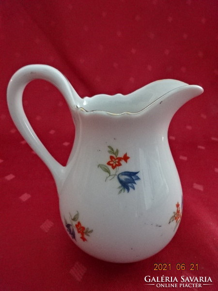Zsolnay porcelain milk spout with thermal water inscription and image. He has!