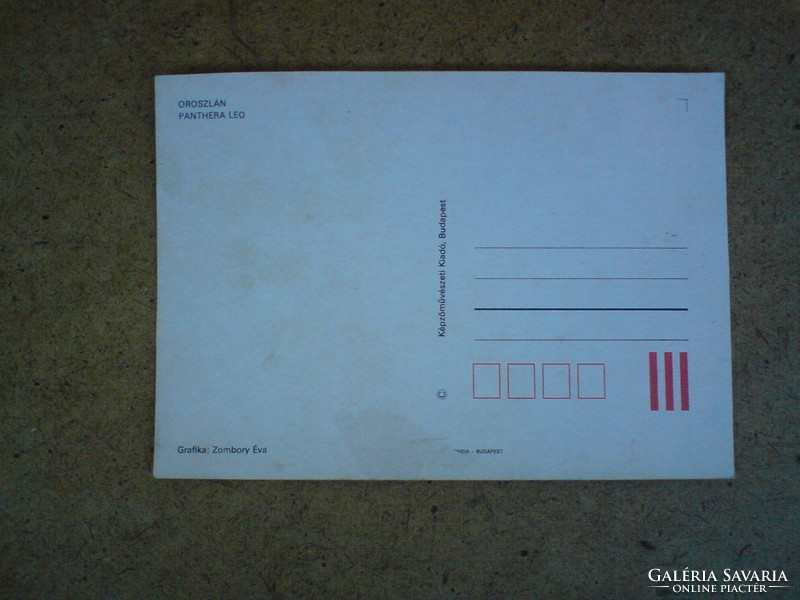 Régi grafikus képeslap 1976 - Oroszlán - Grafika : Zombori Éva