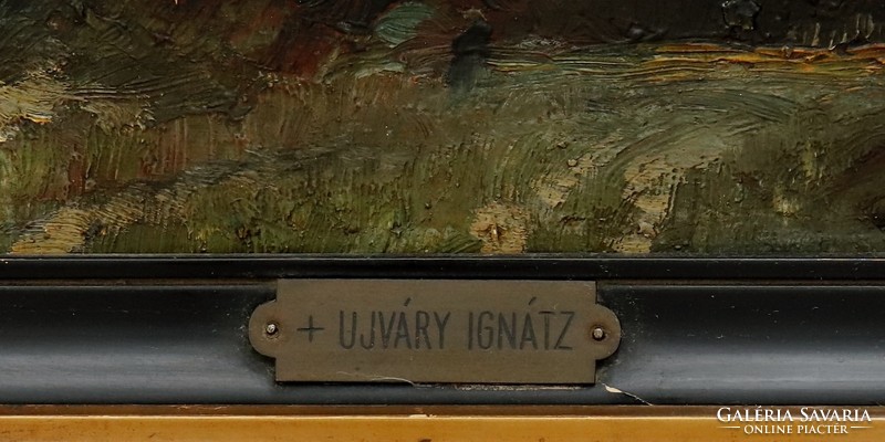 Ignác Ujváry (1860-1927) with a perpetual guarantee