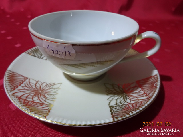 Tk thun Czechoslovak first-class porcelain teacup with other placemat. He has!