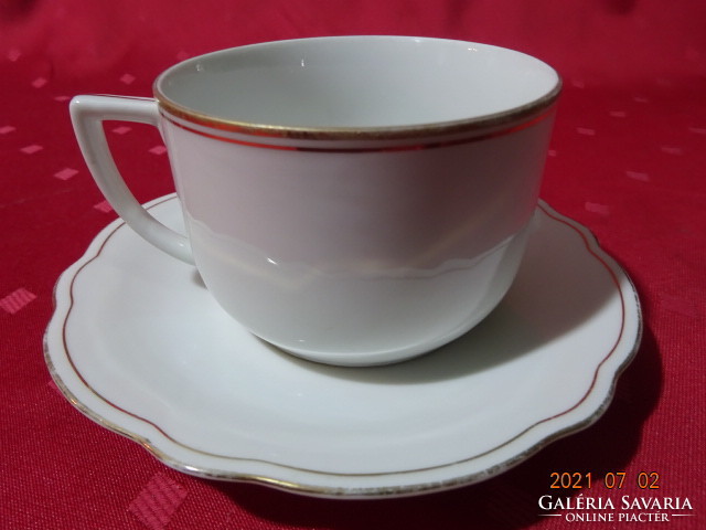 Seltmann weiden bavaria porcelain teacup with other placemat. He has!