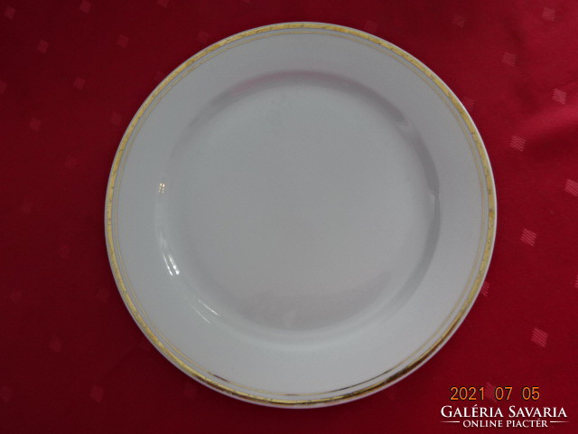 Lowland porcelain, gold-plated flat plate. He has!