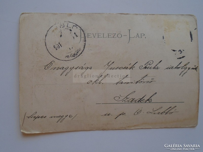 G21.306  Régi képeslap  - Csikós - kézzel festett Lubló 1901
