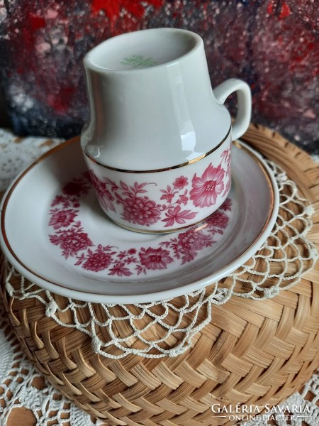 Hóllóháza porcelain cup and plate in perfect condition