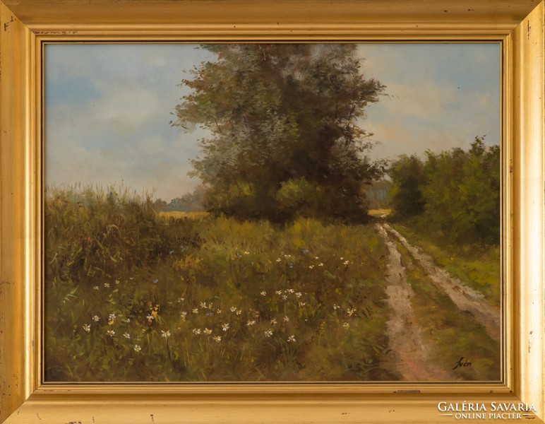 Reasonable price! Oil painting by István Iván, with authenticity!