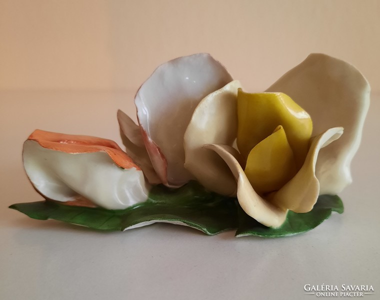 Aquincum porcelain roses
