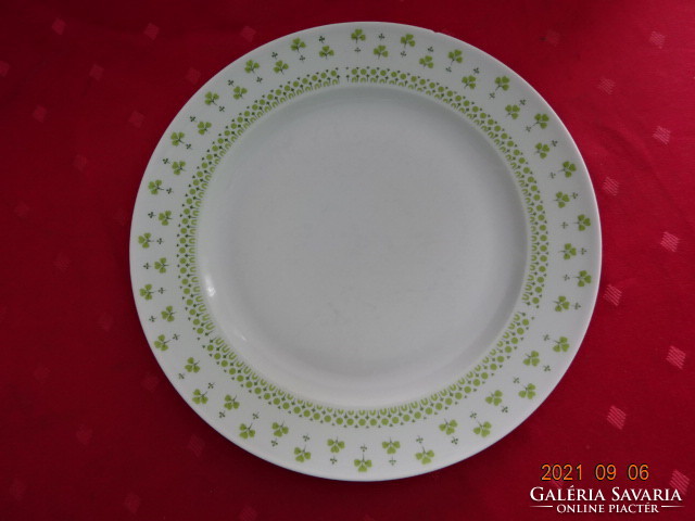 Lowland porcelain, parsley patterned flat plate, diameter 24 cm. He has!
