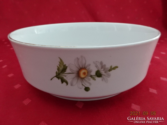 Great Plain porcelain, daisy-patterned garnished bowl, diameter 21 cm. He has!