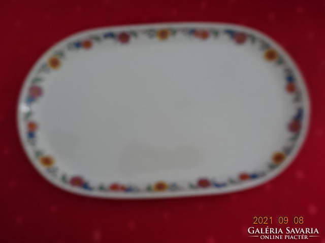 Lowland porcelain oval meat bowl with colorful flowers on the edge. He has!