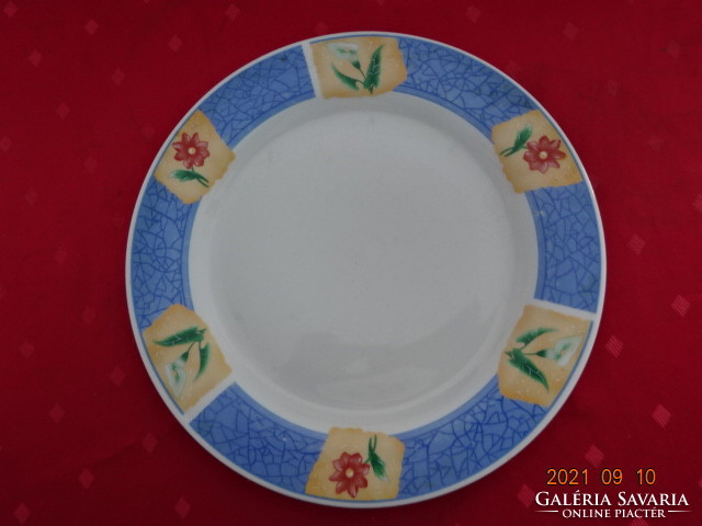 Plain porcelain flat plate with a blue bordered floral pattern, diameter 27.5 cm. He has!